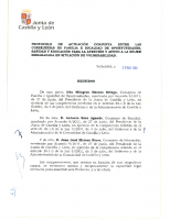 Junta de Castilla y León. Protocolo de actuación conjunta para la atención y apoyo a la mujer embarazada en situación de vulnerabilidad. 2013