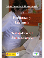 Ministerio de Ciencia e Innovación. Guía de Valoración de riesgos laborales en el embarazo y lactancia en trabajadoras del ámbito sanitario. 2008